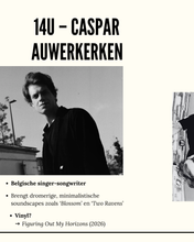 Afbeelding in Gallery-weergave laden, Record Store Day | 18 april | GRATIS